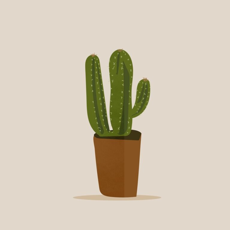 Cactus en maceta sobre una mesa, mostrando su forma y textura, ideal para decoración y jardinería en casa.